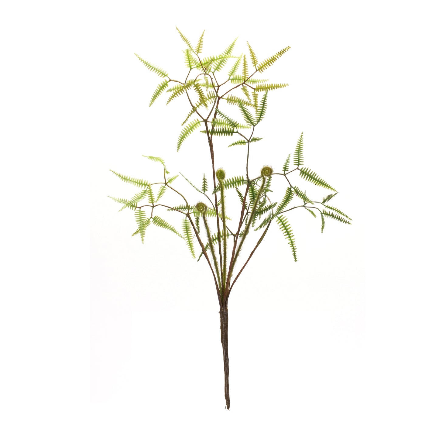 Mini Fern Foliage Bush with Sprout Accent (Set of 6)