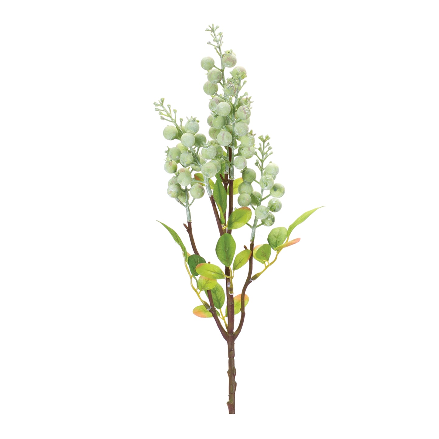 Green Berry Spray (Set of 12)