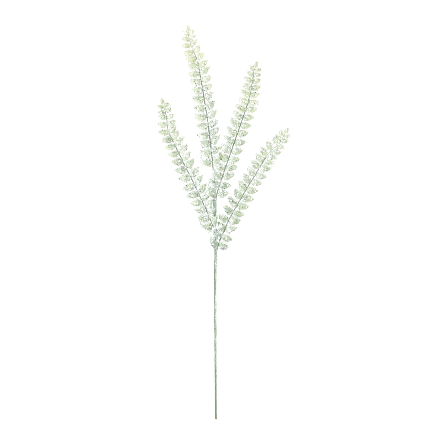 Glittered Fern Spray (Set of 24)