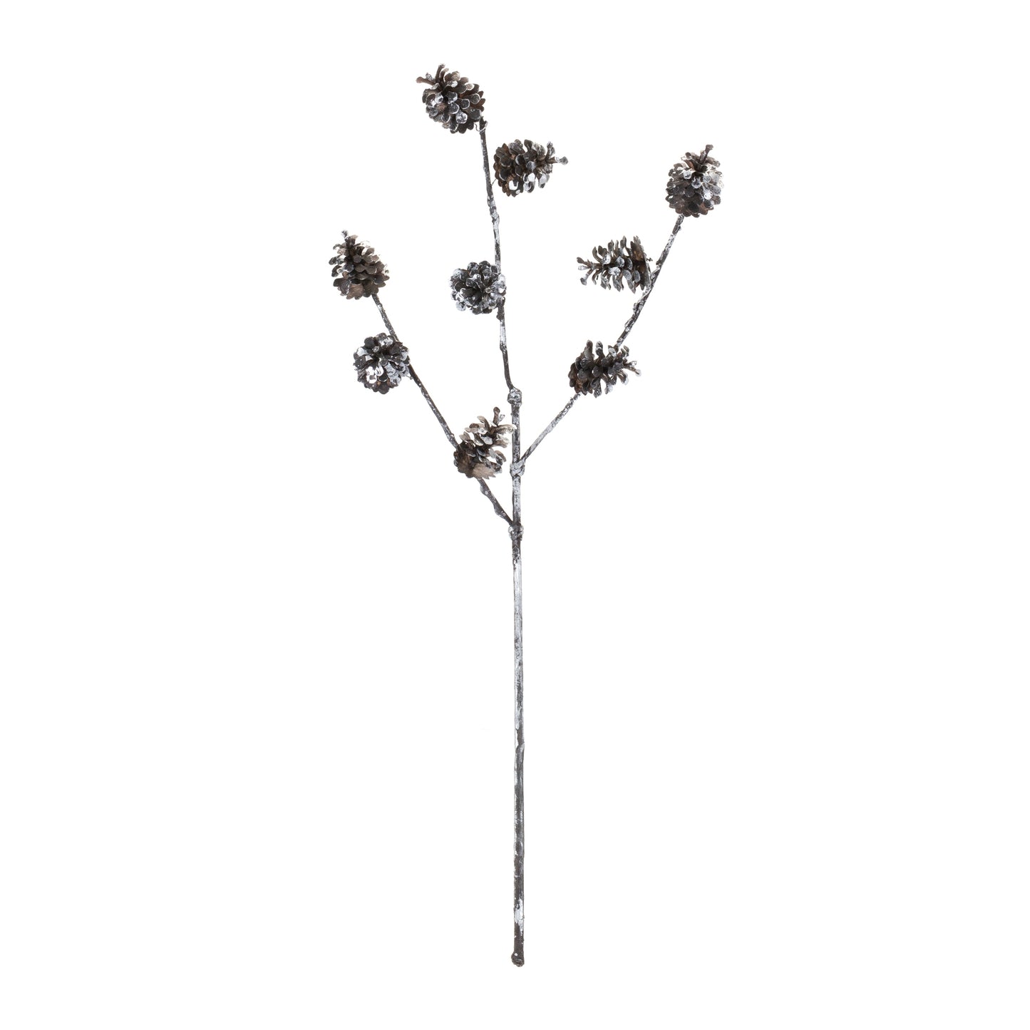 Pine Cone Spray (Set of 12)