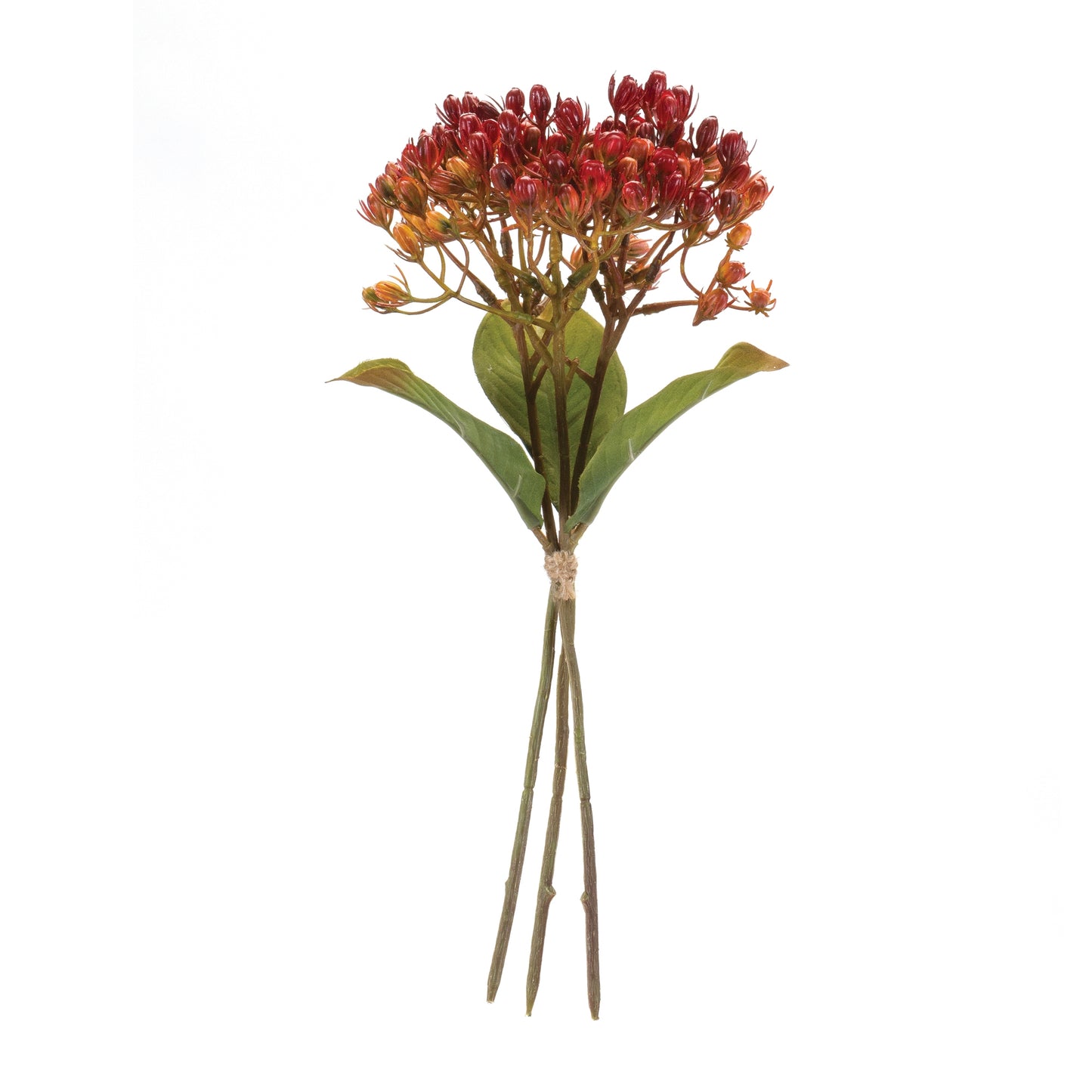 Harvest Berry Bundle (Set of 12)