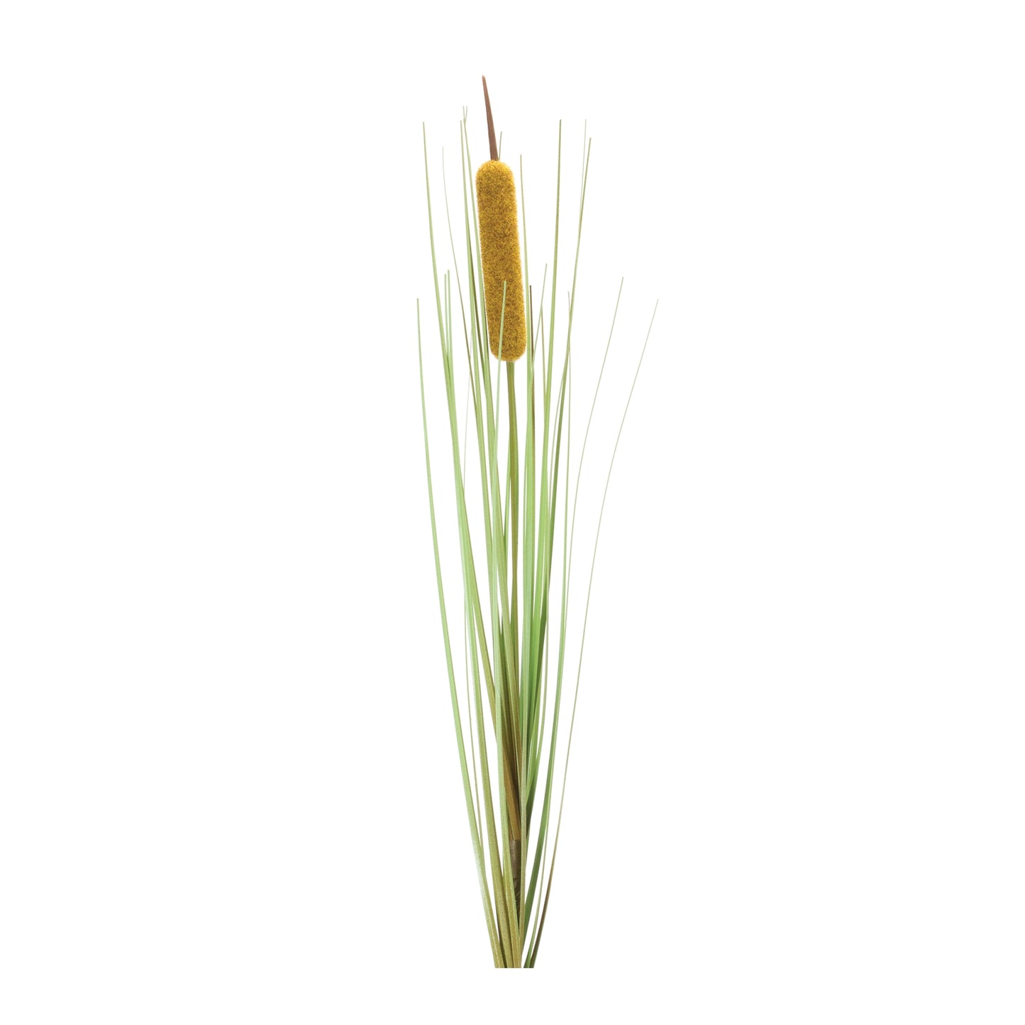 Cattail Bush (Set of 12)