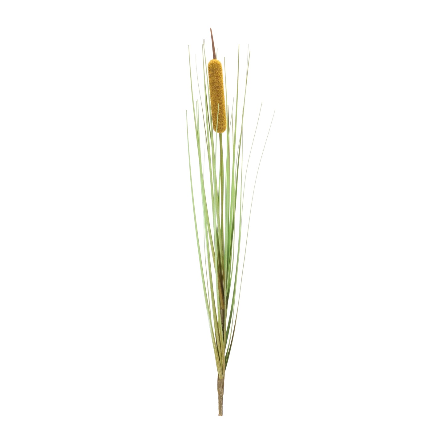 Cattail Bush (Set of 12)