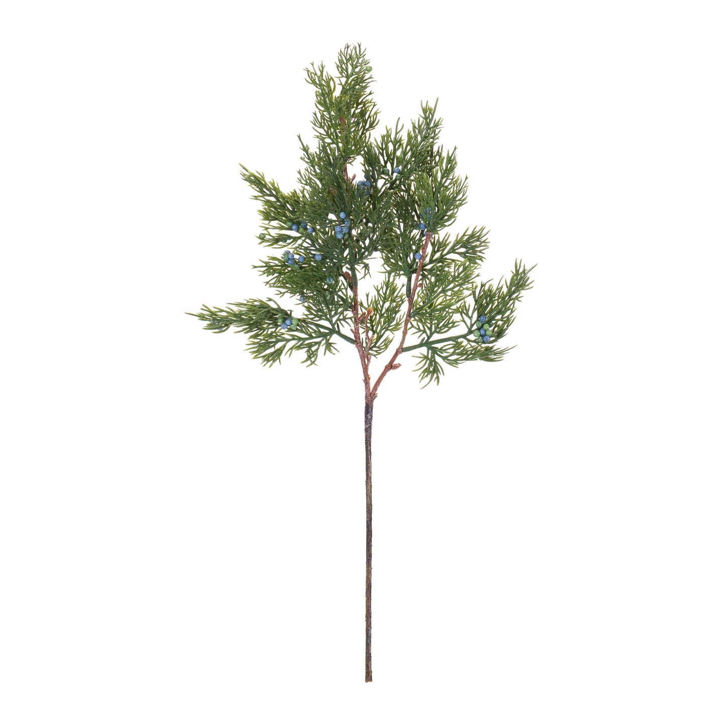 Pine Spray (Set of 12)