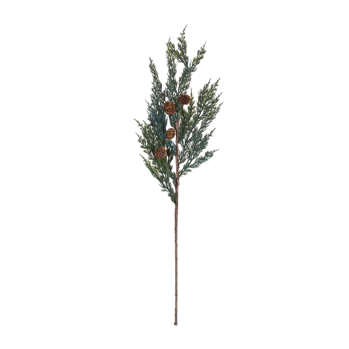 Pine Spray (Set of 24)