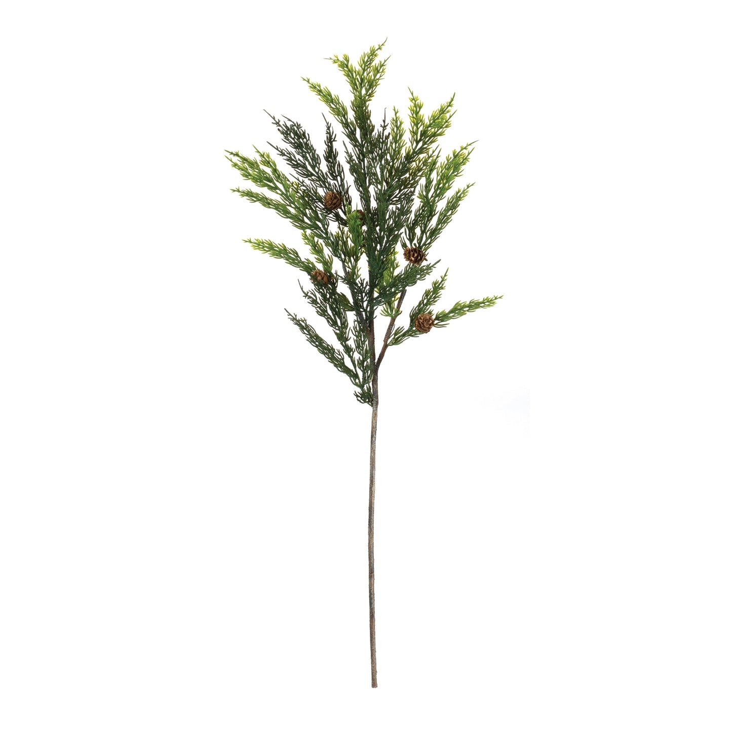 Pine Spray (Set of 6)
