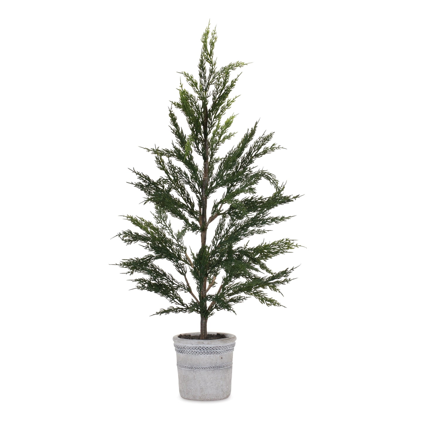 Pine Tree in Plastic Pot (Set of 2)