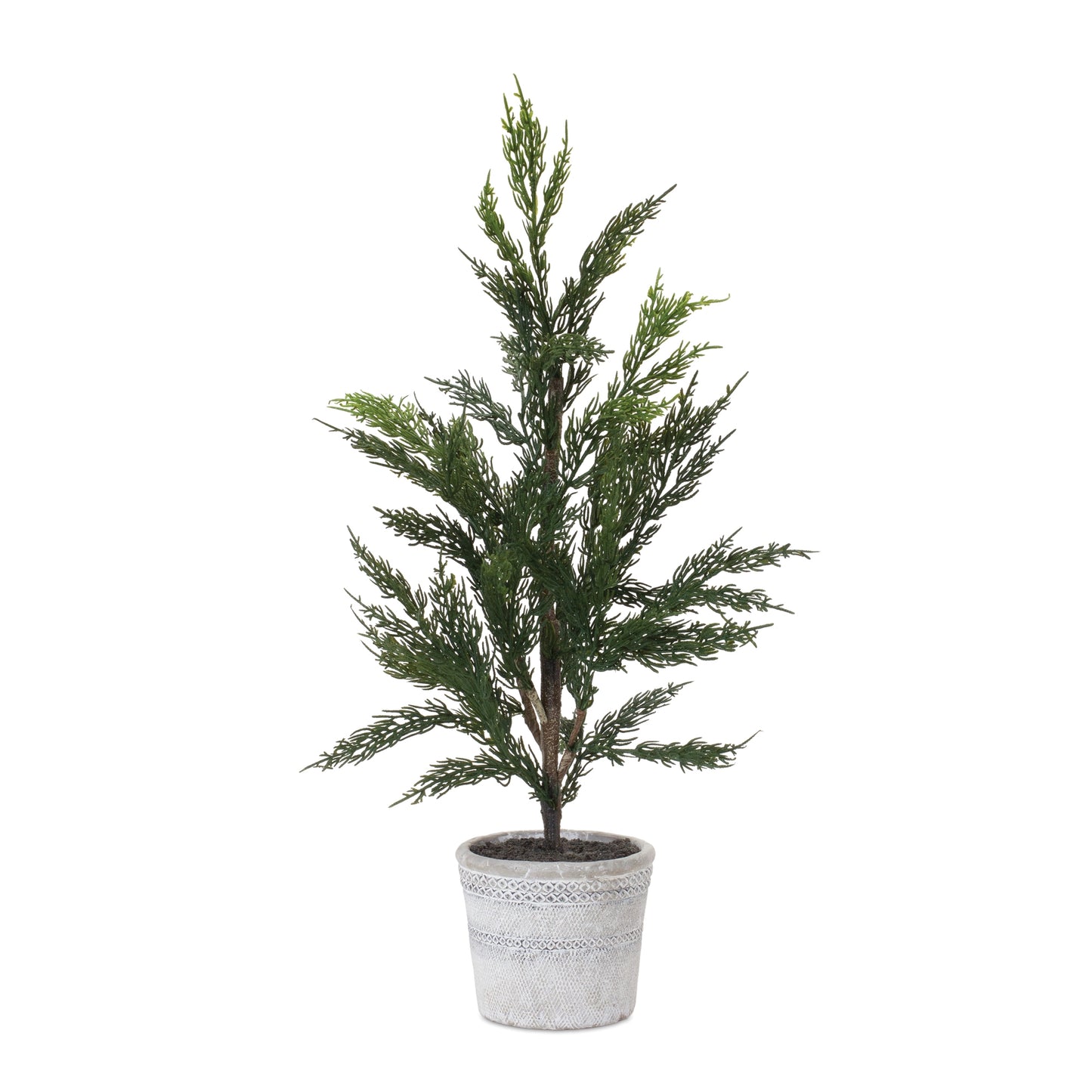 Pine Tree in Plastic Pot (Set of 2)