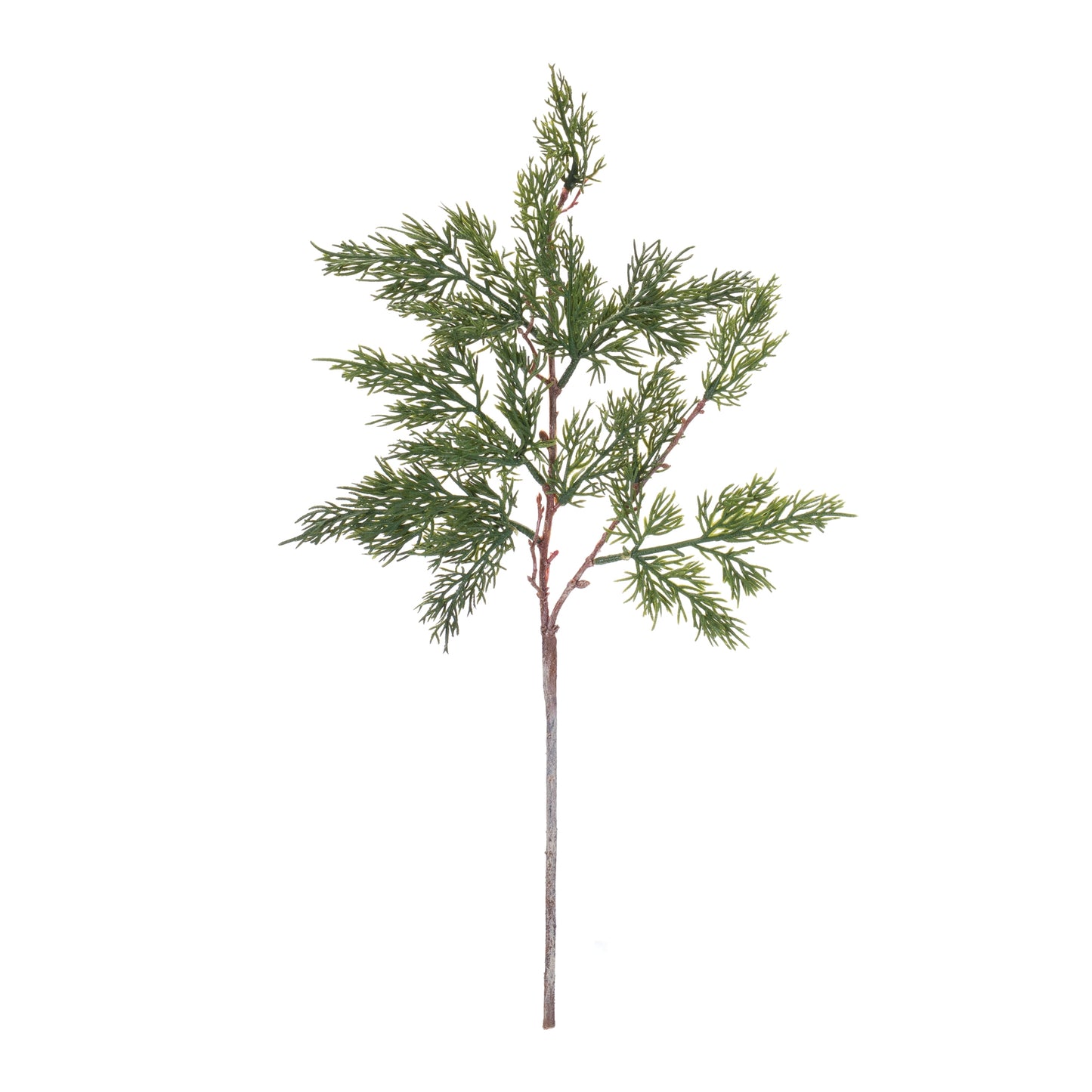 Pine Spray (Set of 12)