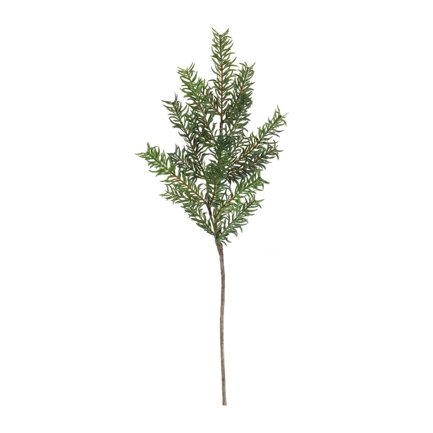 Pine Spray (Set of 12)