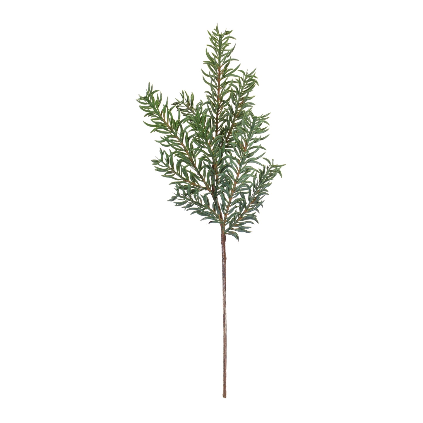 Pine Spray (Set of 24)