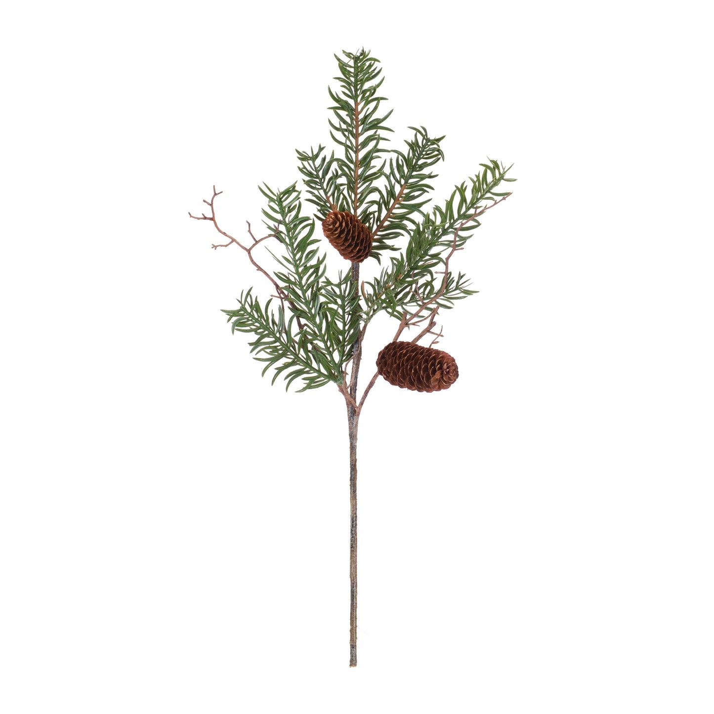 Pine Spray (Set of 12)