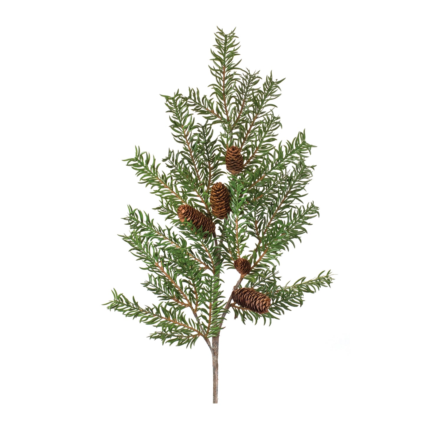Pine Spray (Set of 2)