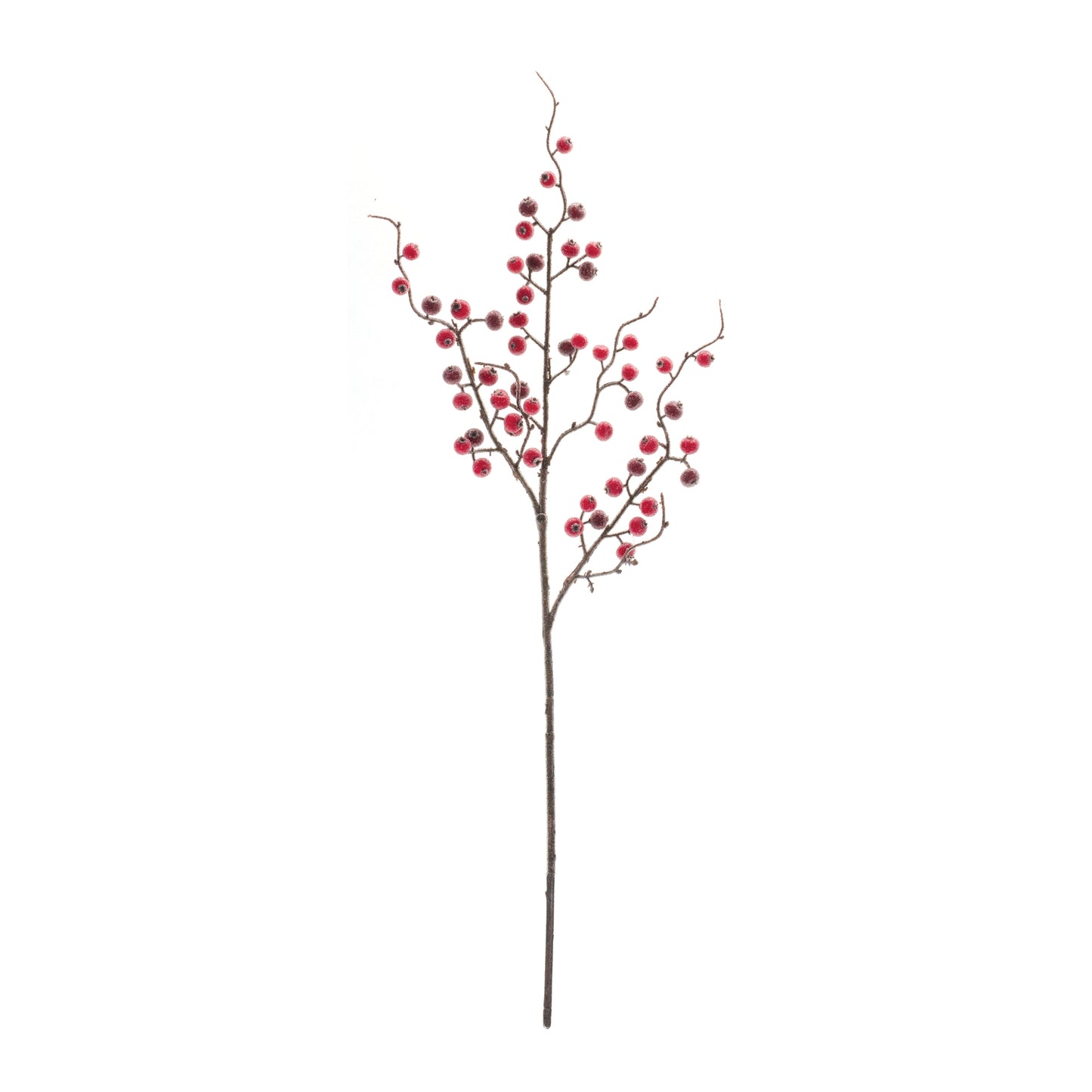 Iced Berry Twig Spray (Set of 12)