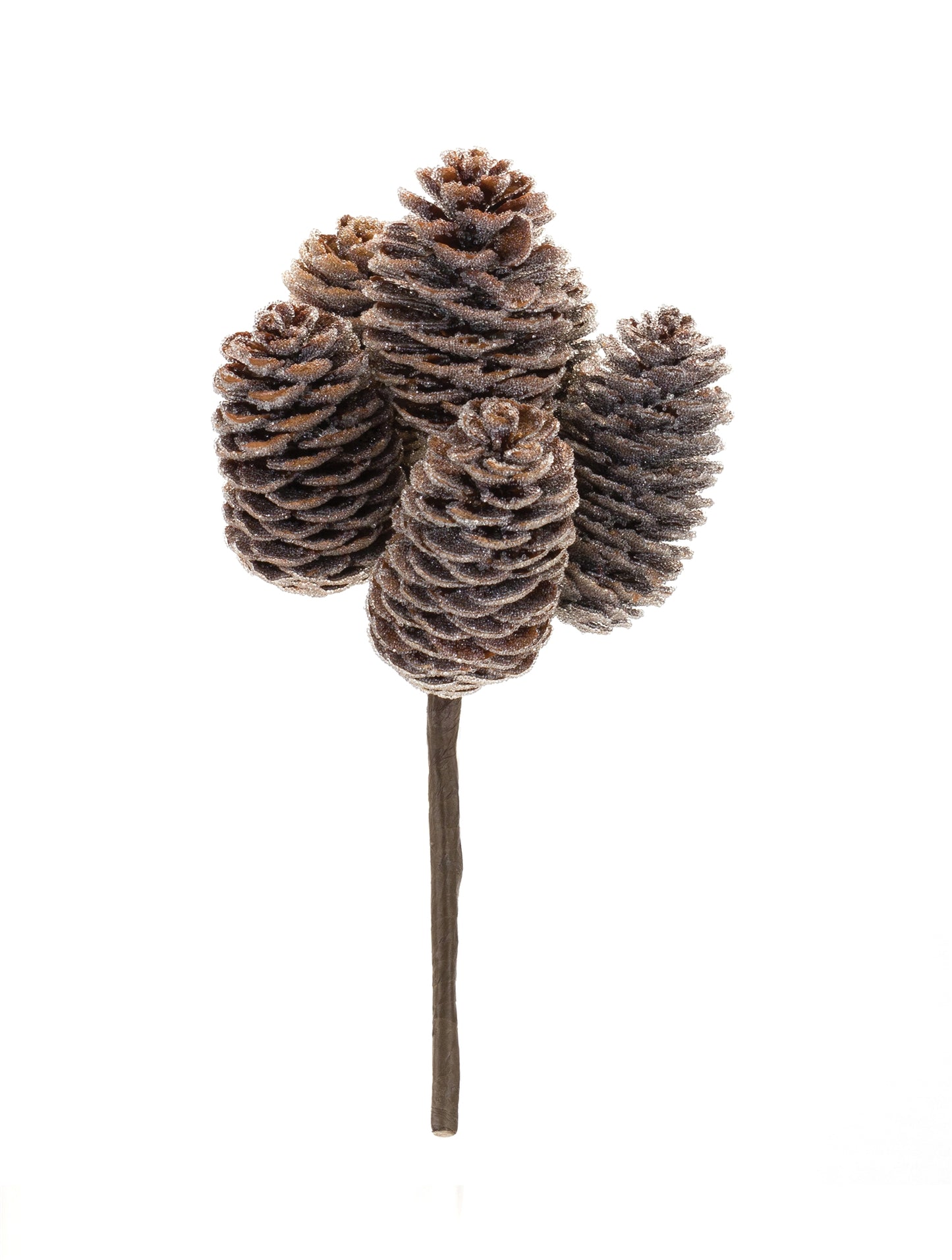 Pine Cone Bundle (Set of 12)