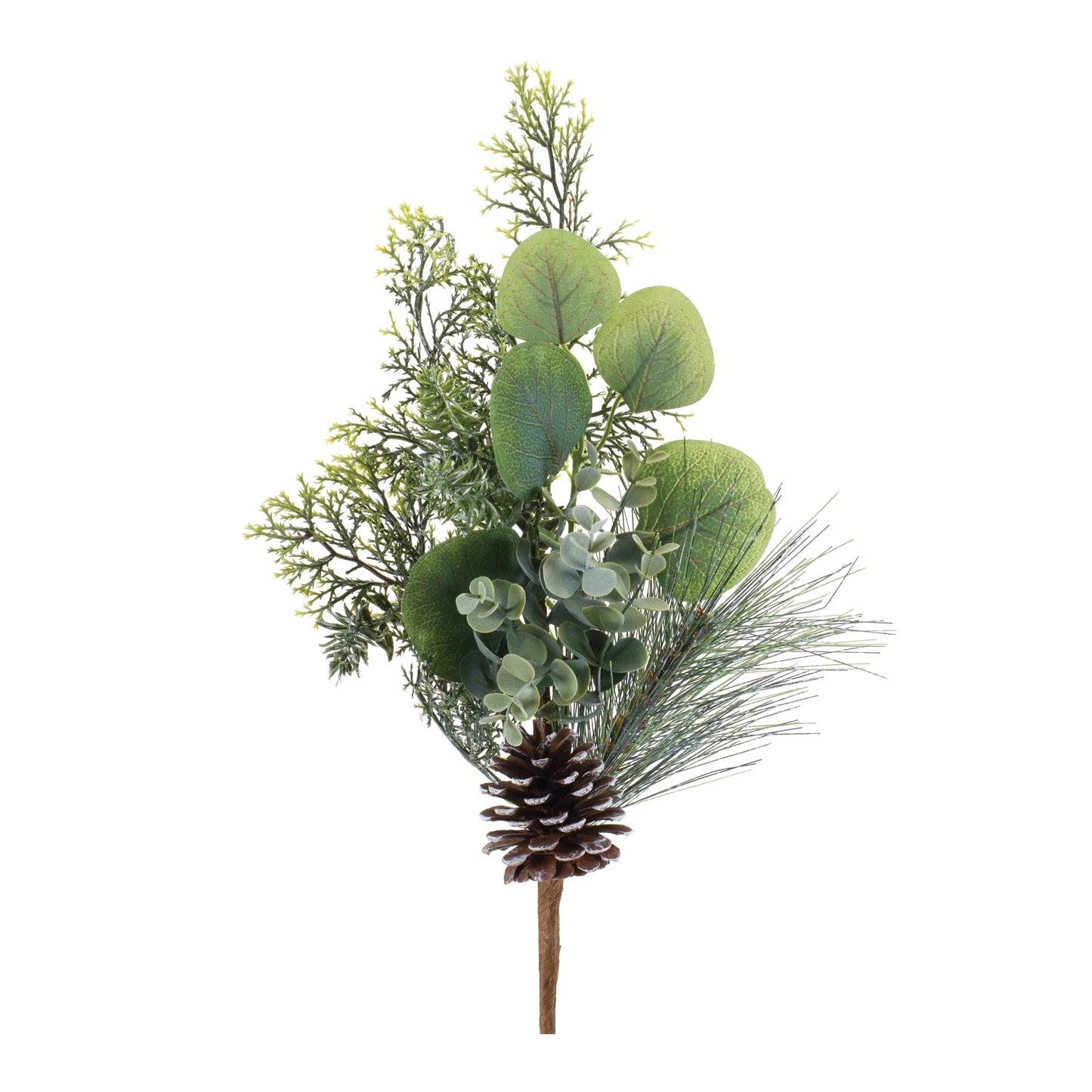 Pine and Eucalyptus Pick (Set of 6)