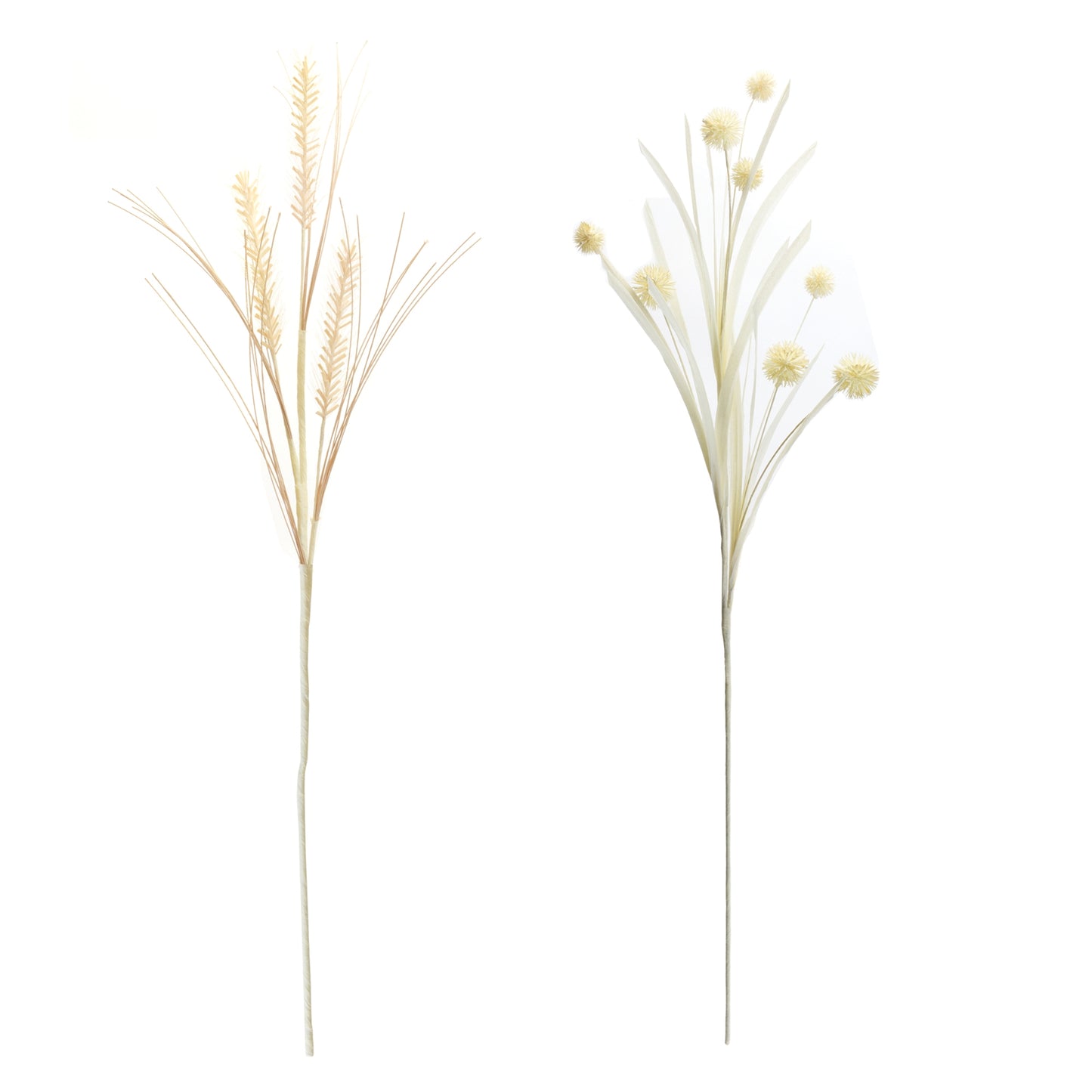 Foxtail and Pod Spray (Set of 12)