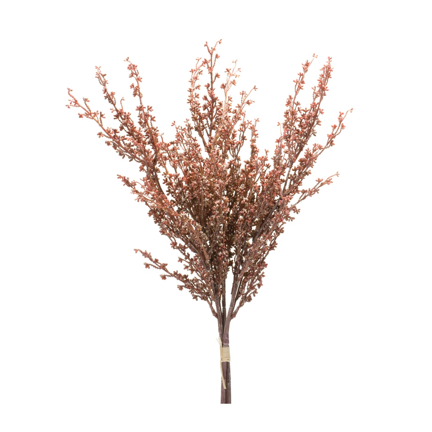 Mini Seed Pod Bundle (Set of 2)