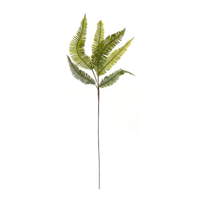 Varigated Fern Foliage Spray (Set of 6)