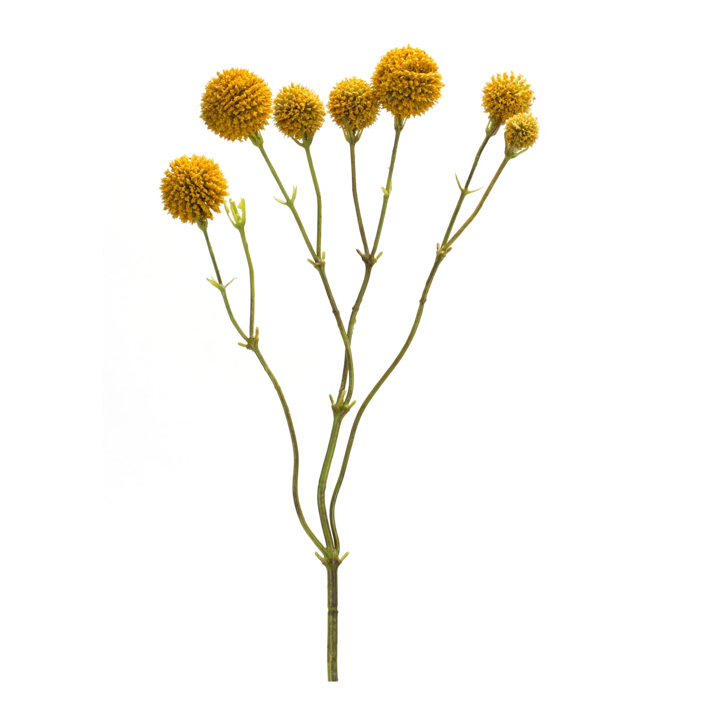 Yellow Pod Twig Spray (Set of 6)