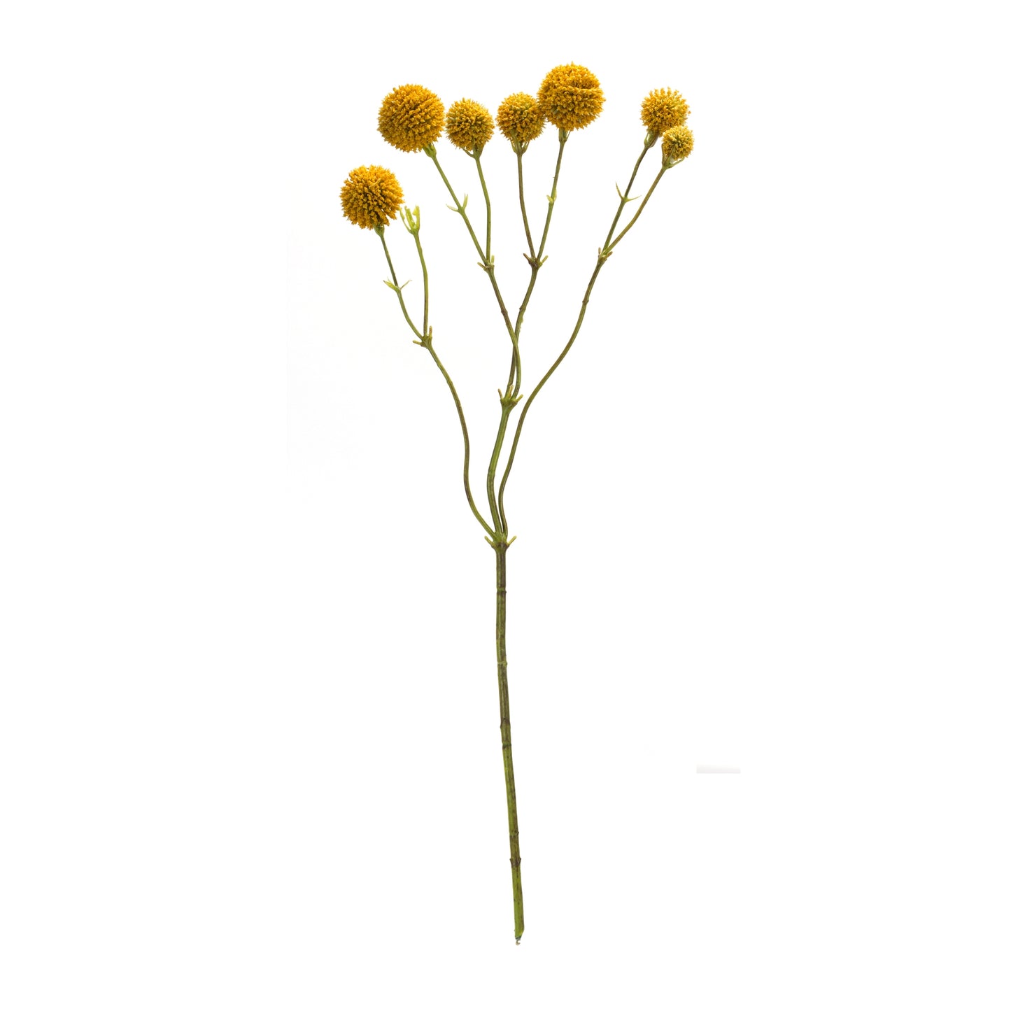 Yellow Pod Twig Spray (Set of 6)