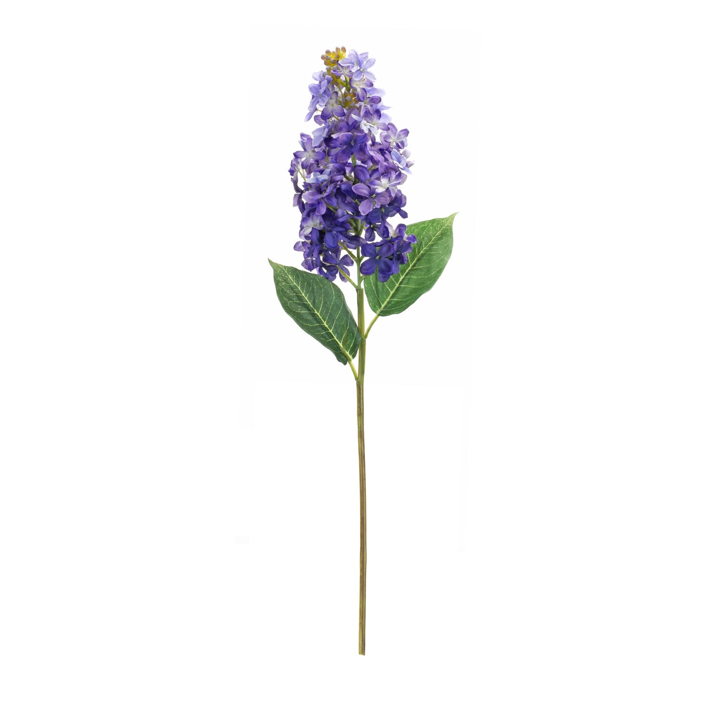 Varigated Purple Lilac Flower Stem (Set of 6)