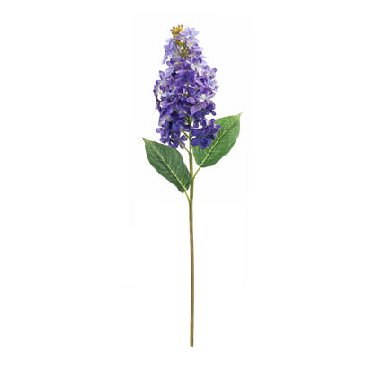 Varigated Purple Lilac Flower Stem (Set of 6)