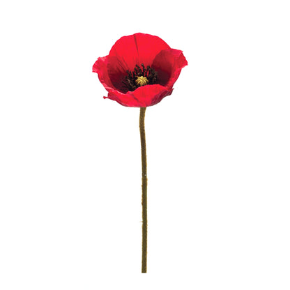 Bright Red Poppy Flower Stem (Set of 6)