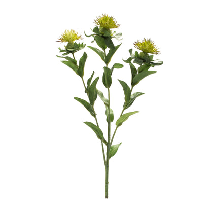 Green Thistle Floral Spray (Set of 6)