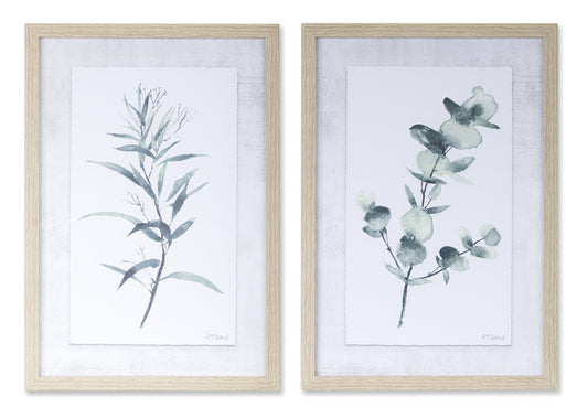 Framed Watercolor Eucalyptus Foliage Print (Set of 2)