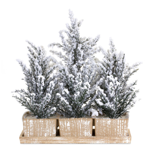 Flocked Mini Pine Tree Arrangement 17"L