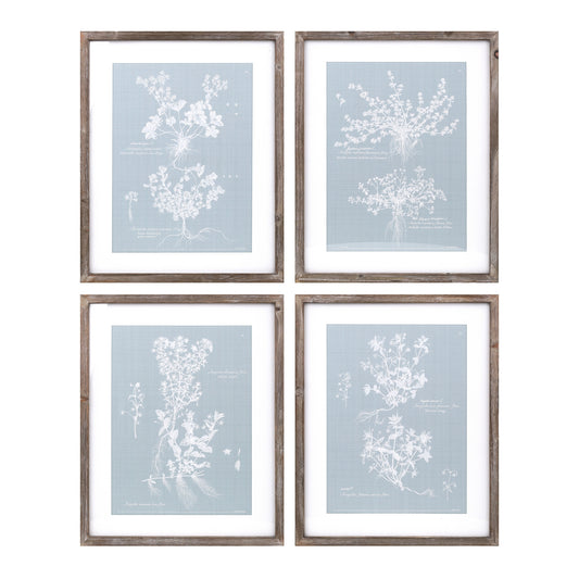 Wood Framed Encyclopedia Floral Outline Under Glass (Set of 4)