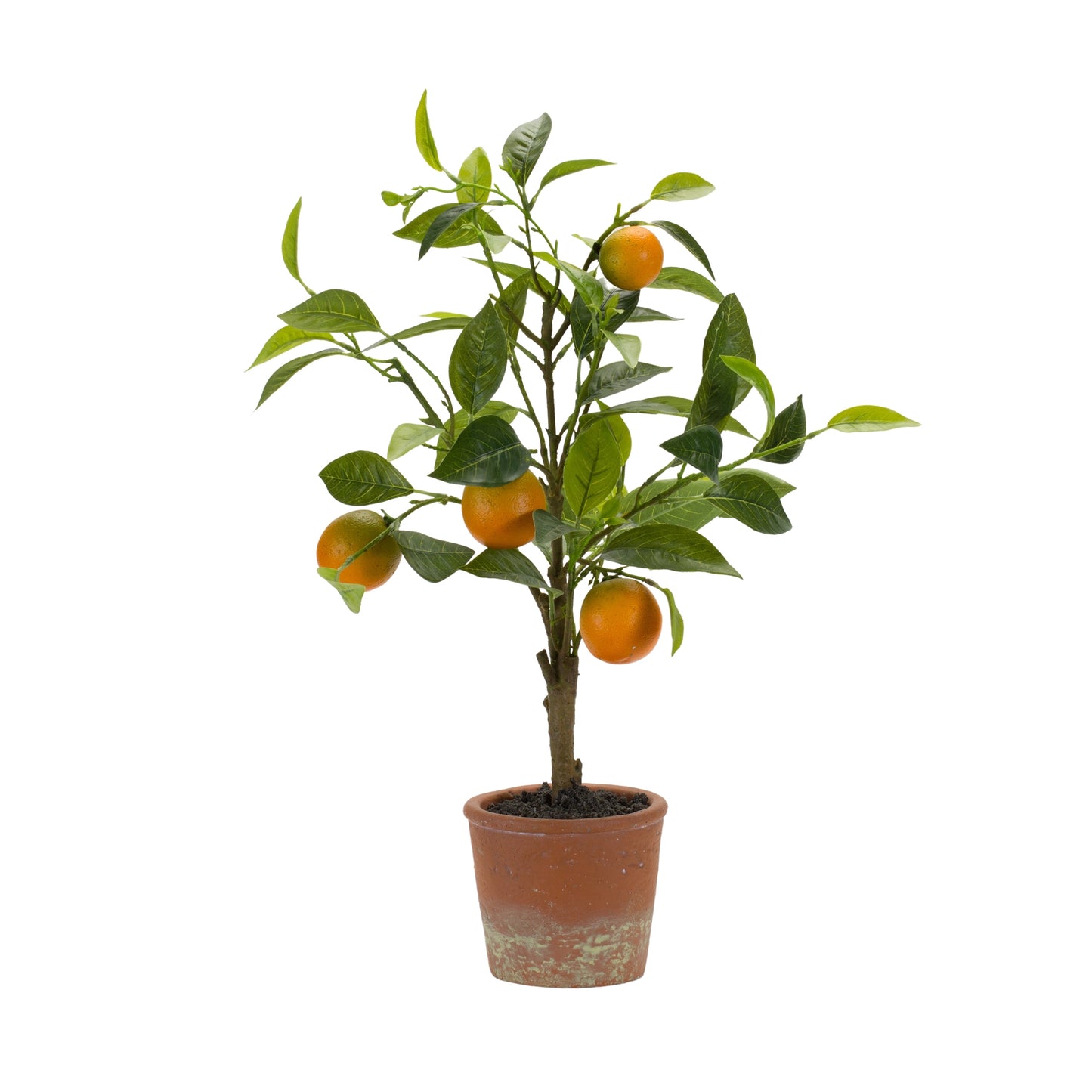 Orange Fruit Silk Tree with Terra Cotta Style Pot 21.5"H