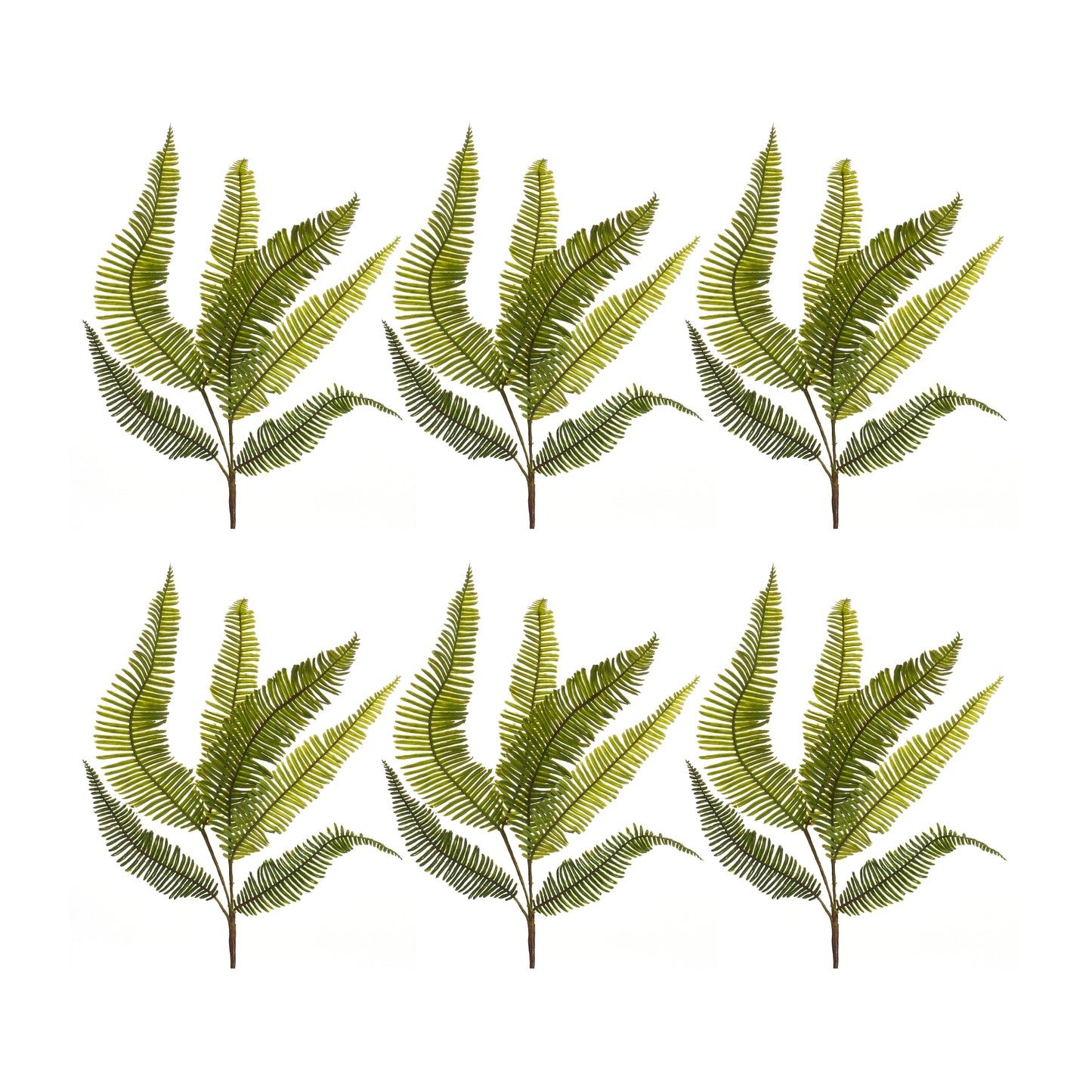 Varigated Fern Foliage Spray (Set of 6)