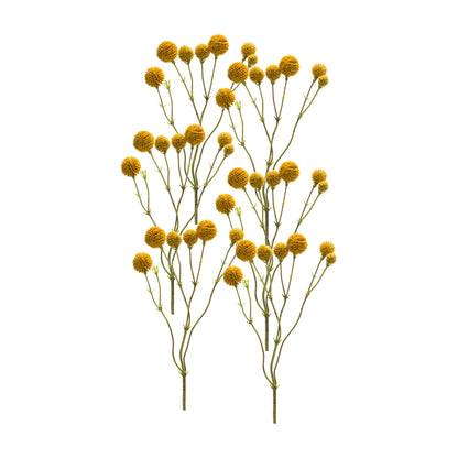 Yellow Pod Twig Spray (Set of 6)