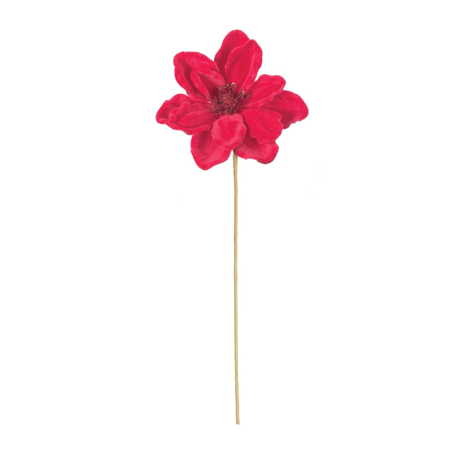 Anemone Flower Stem (Set of 12)