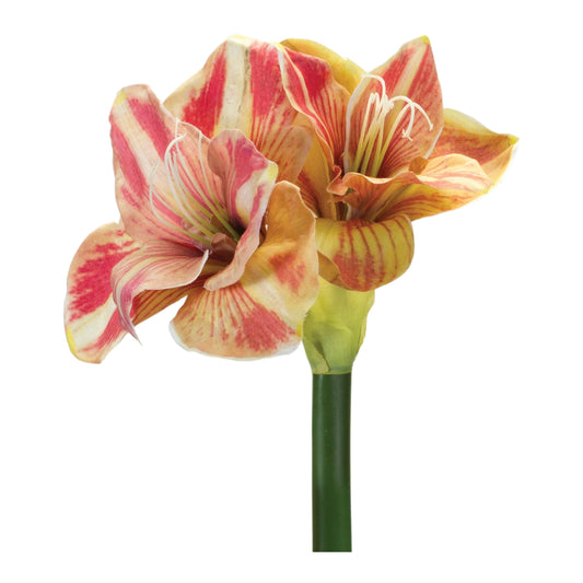 Amaryllis Flower Stem (Set of 2)