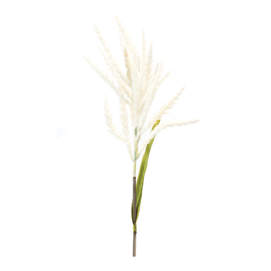 Astilbe Stem (Set of 6)