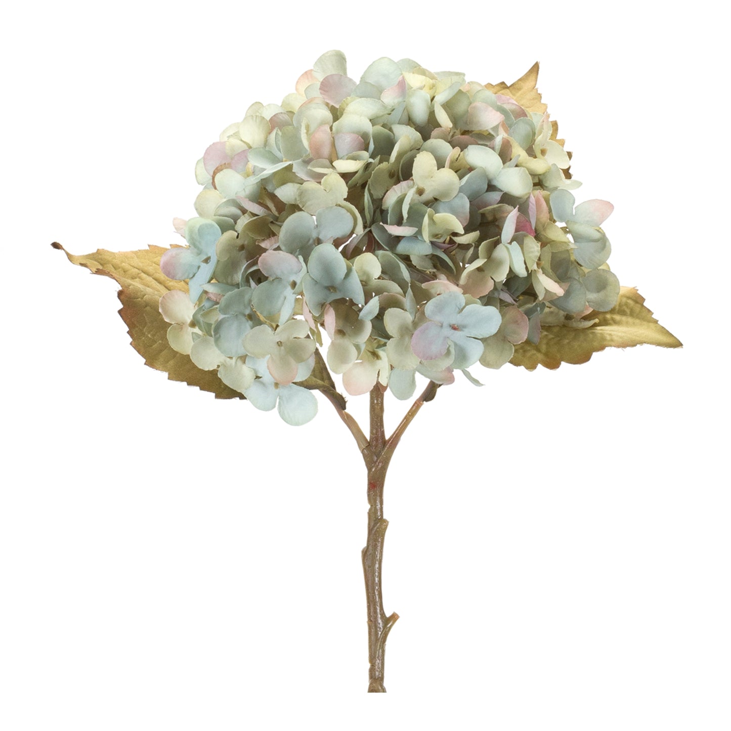 Hydrangea Stem (Set of 6)