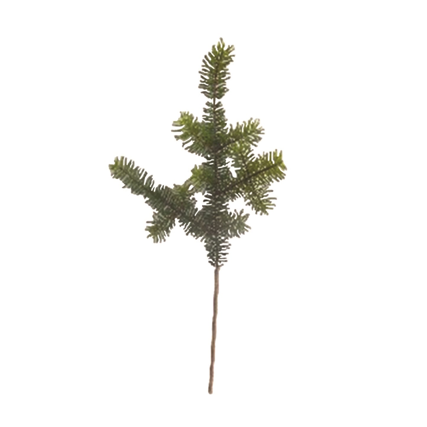 Pine Spray (Set of 6)