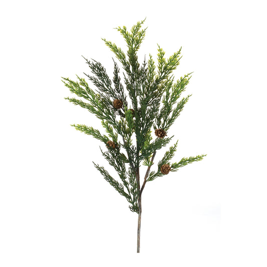 Pine Spray (Set of 6)