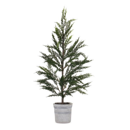 Pine Tree in Plastic Pot (Set of 2)