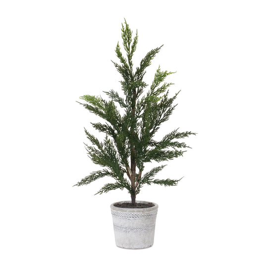 Pine Tree in Plastic Pot (Set of 2)