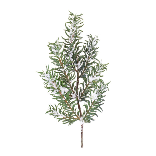 Snow Pine Spray (Set of 12)