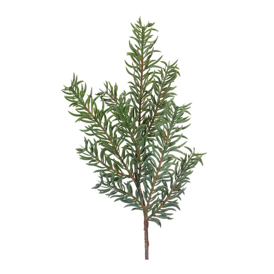 Pine Spray (Set of 24)