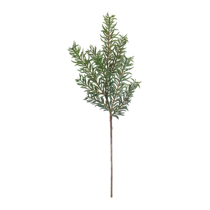 Pine Spray (Set of 24)