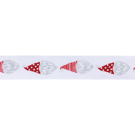 Wired Polyester Ribbon 2.5" x 10 yds. (Set of 2)