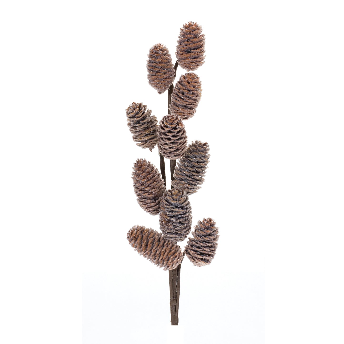 Pine Cone Spray (Set of 6)