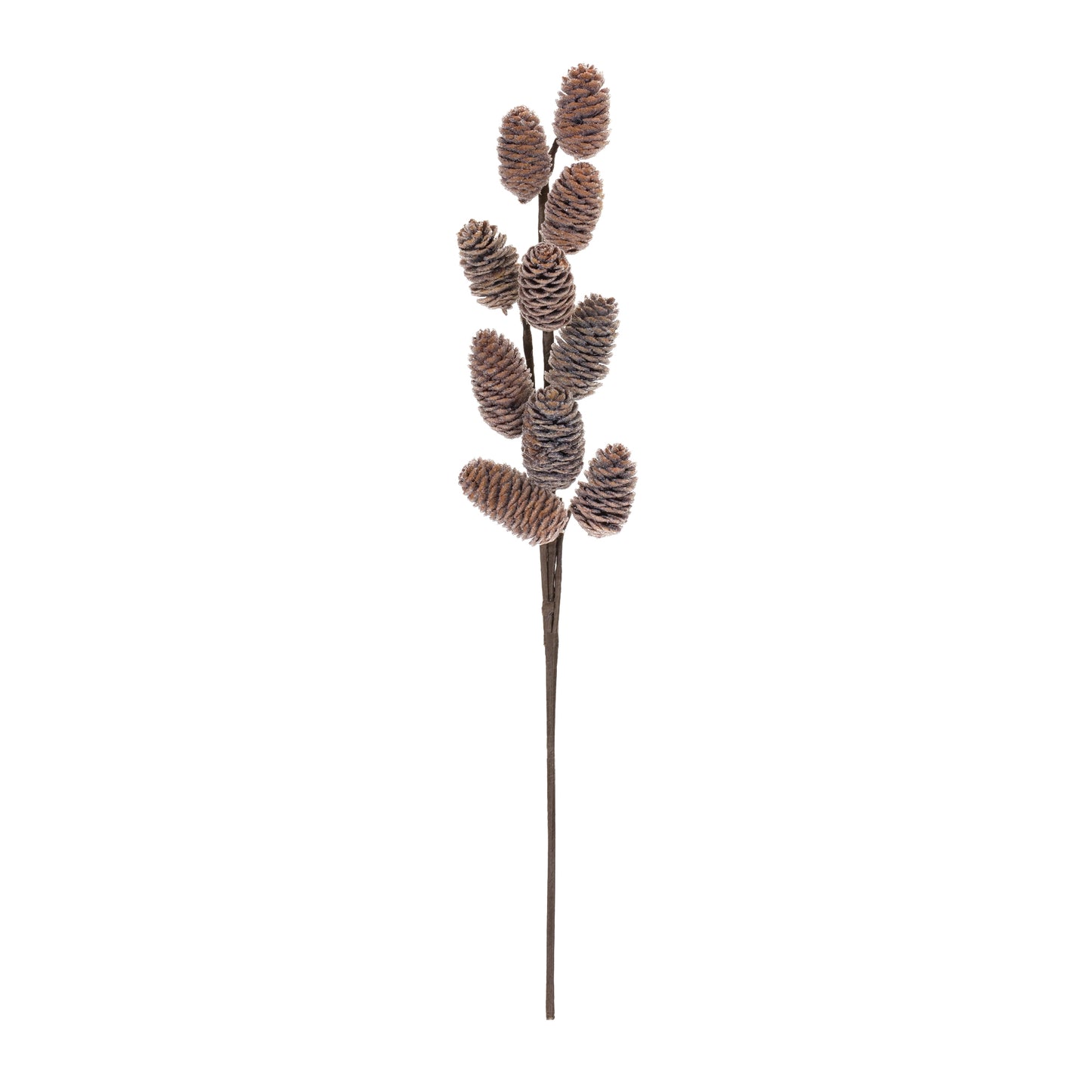 Pine Cone Spray (Set of 6)