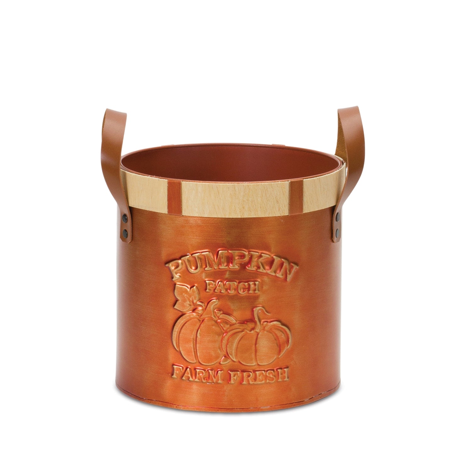 Pumpkin Patch Bucket (Set of 2)